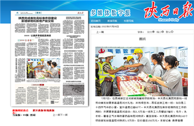 金世豪西北集团珑樾府项目高温慰问——《陕西日报》